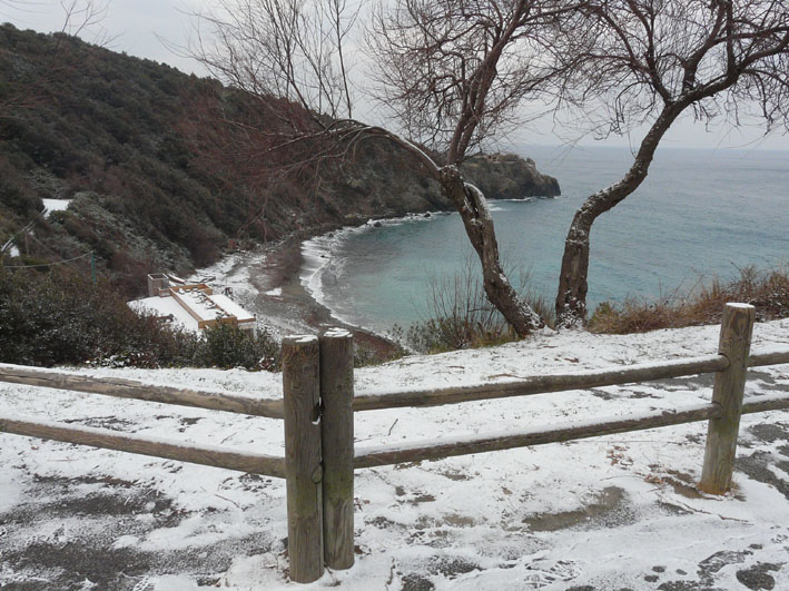 Il Laghetto del Centro di Entomologia - Piombino (LI)
